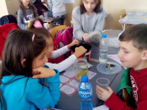 IMG 20160120 111619        
