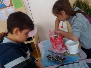 IMG 20160120 111946        
